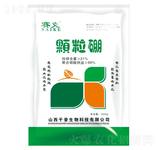 �w����-ِ��-ǧ������