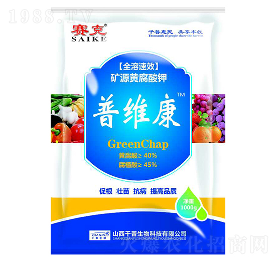 �VԴ�S�����-�վS��-ǧ������