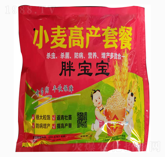 С���߮a�ײ�-��ֲ�_