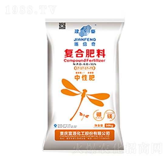 �ͺϷ���-����