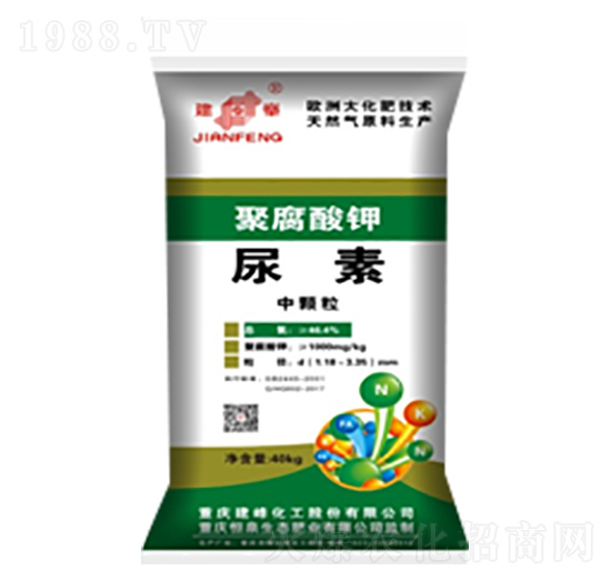 �۸����-����