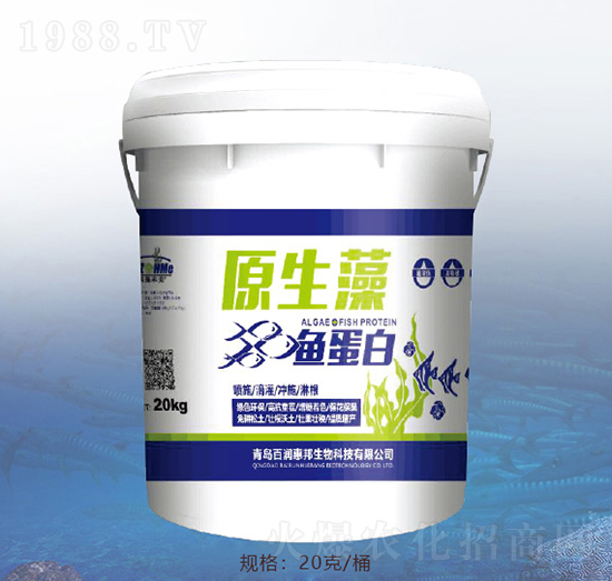 ԭ�����~����-�ٝ��ݰ�