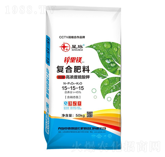 �ߝ������⛏ͺϷ���15-15-15-�\���V-�е���ʢ