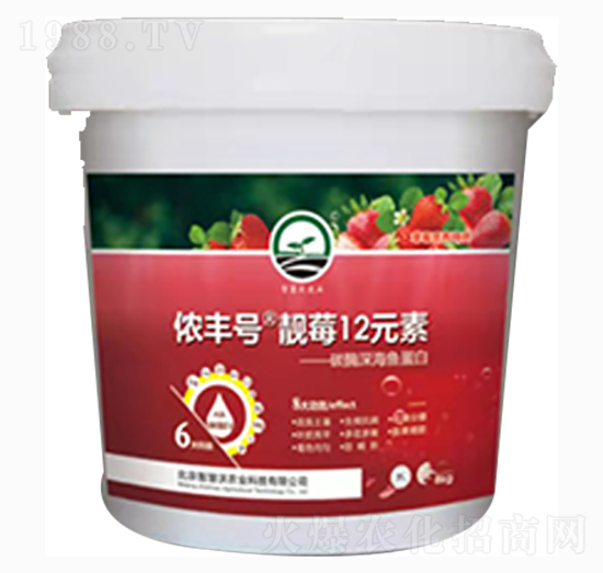 �nݮ12Ԫ��-�z�S̖(h��o)-�ǻ���