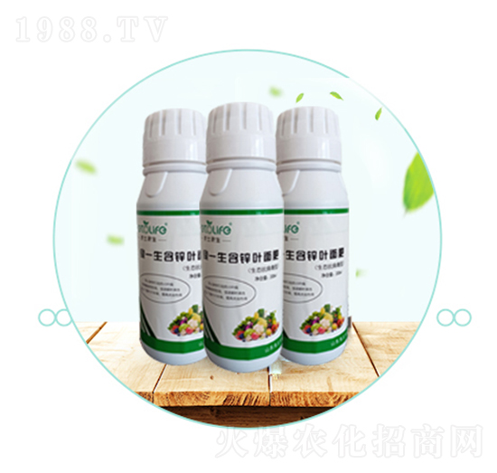 ���\�~���-��������