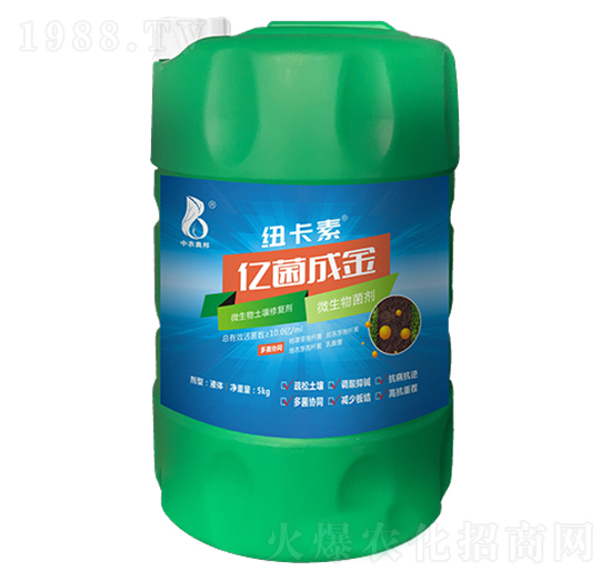 ΢���������ޏ�(f��)��-�|���ɽ�-���r(n��ng)�W��