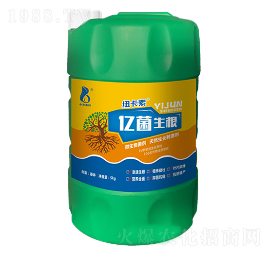 ΢�������-�|������-���r�W��