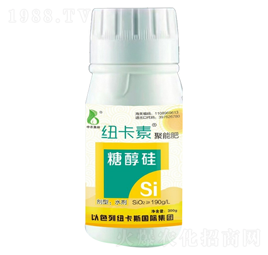 �Ǵ���-���r�W��