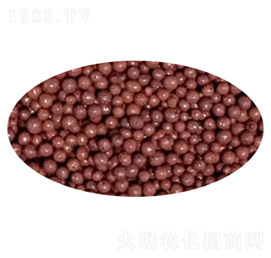 ����ɫ��(sh��)֬�����ЙC(j��)��-��ʩ��