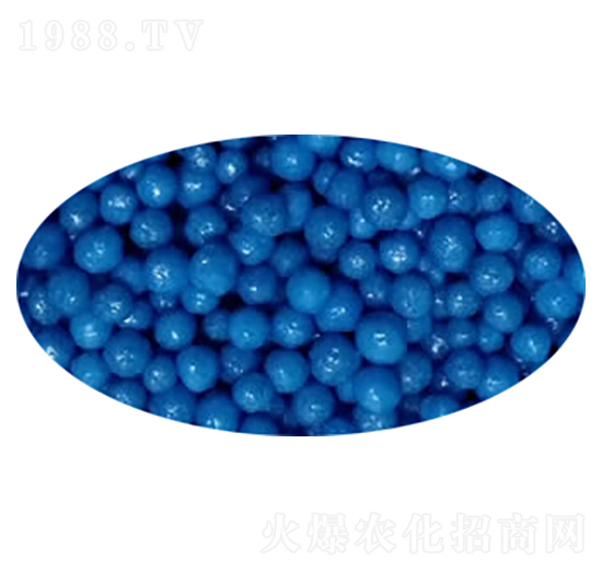 �{(l��n)ɫ��֬��������-��ʩ��