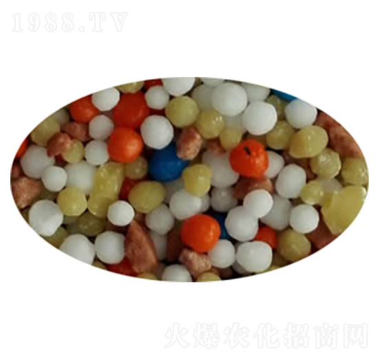 ��ጓ����-��ʩ��