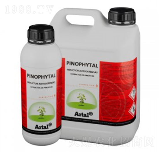 �t������̼�~�Է����T����-����