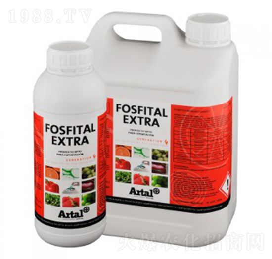 �t�������������-����