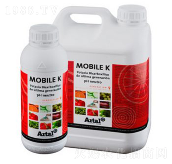 �t�������27-����