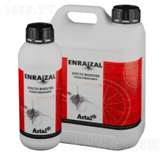 �t��������(y��u)��-����