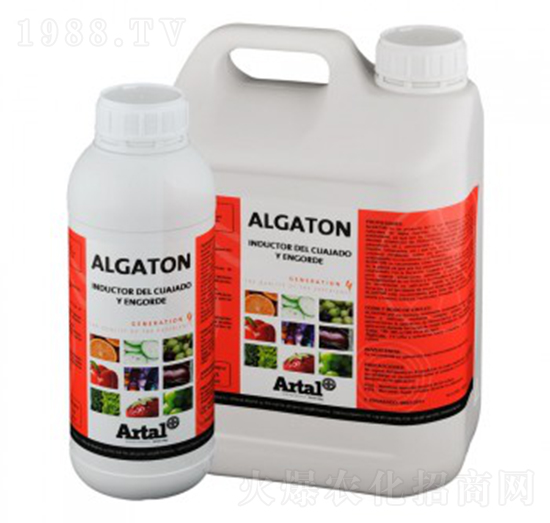 �t����������-����