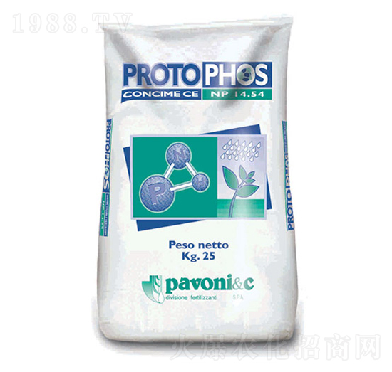 ���⡤����-����