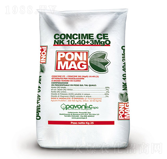 ���⡤����-����