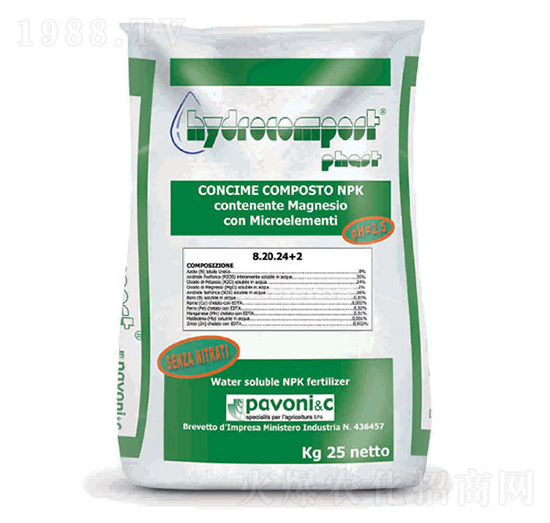 ���⡤����-����