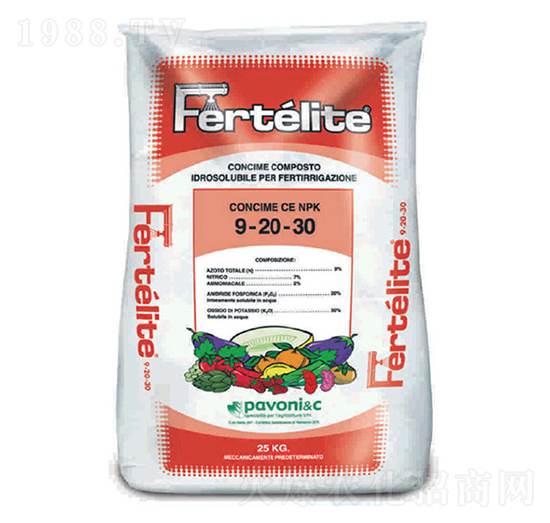 ���⡤�Ƶ�-����