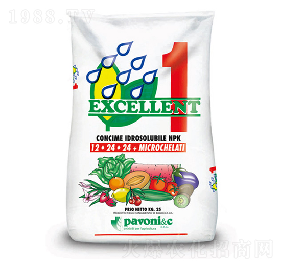 ���⡤����-����