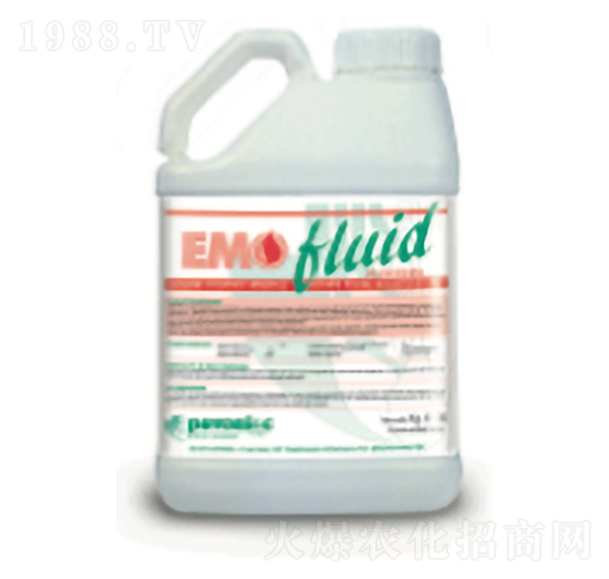 ���⡤����-����