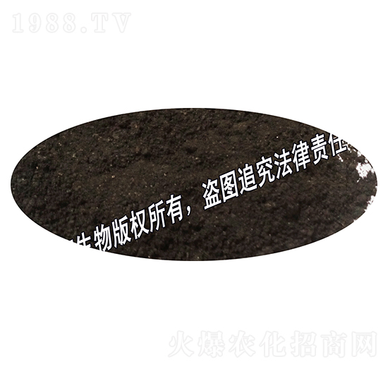 �ЙC�ʷۄ�-�{������