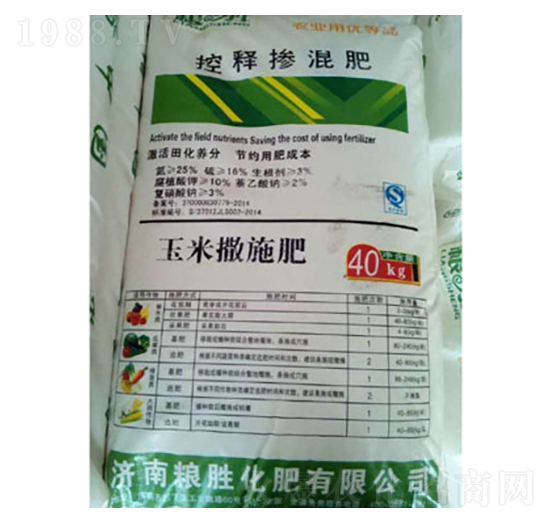 ��ጓ����-�Z�ٻ���