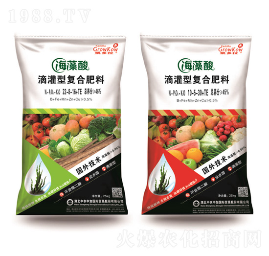 ������ι��͏ͺϷ�-�P���m-���r(n��ng)�м�