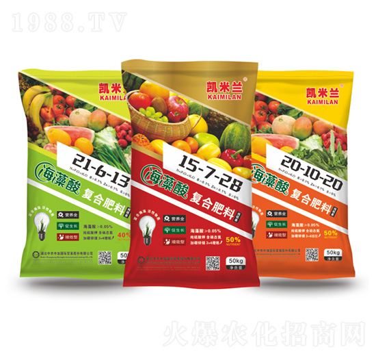 ������ͺϷ��Ϻ�����ͺϷ�-�P���m-���r(n��ng)�м�