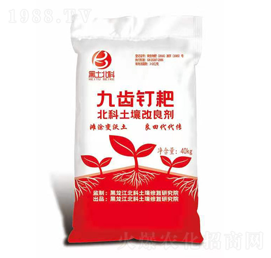 ����������-���Xᔰ�-�W�r(n��ng)����