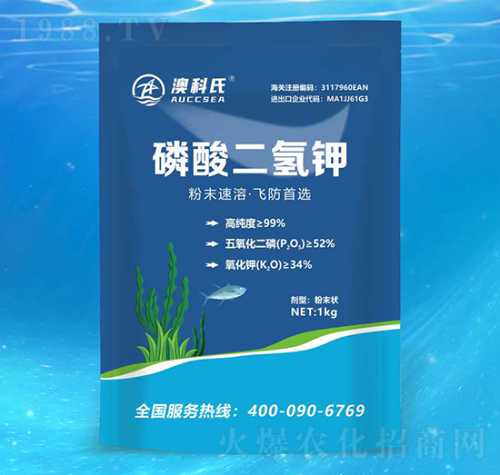 �w����������-�Ŀ���