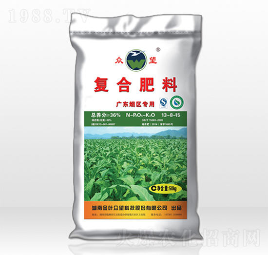 ���݌��Ï�(f��)�Ϸ�-����