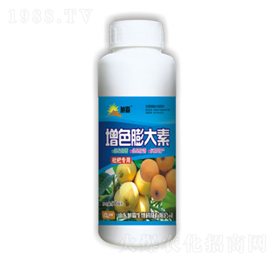 ���t�����-�������