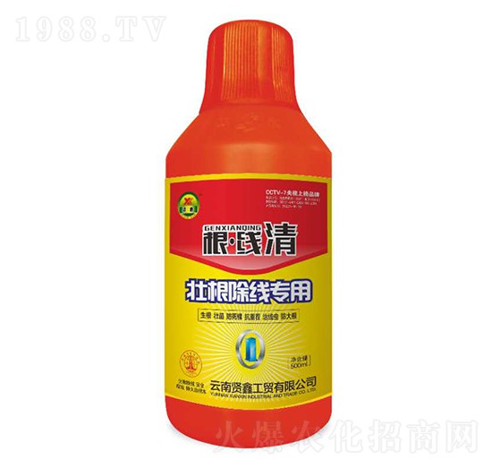 �Ѹ�����(xi��n)��(zhu��n)��-����(xi��n)��-�t��