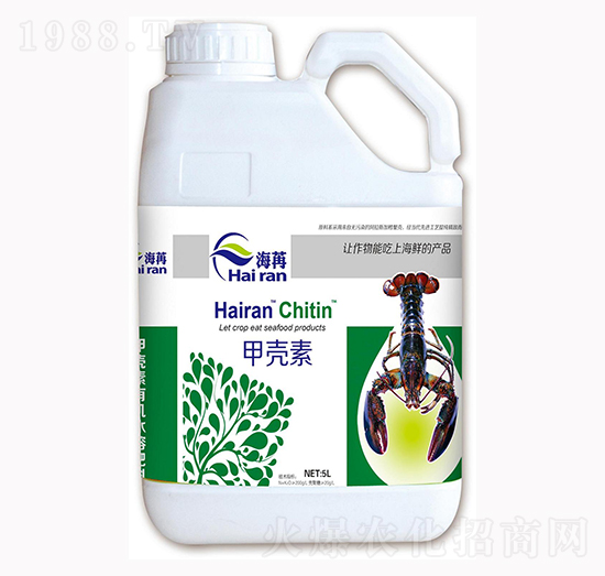 �ך���-����