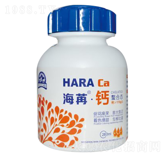 �����}-����