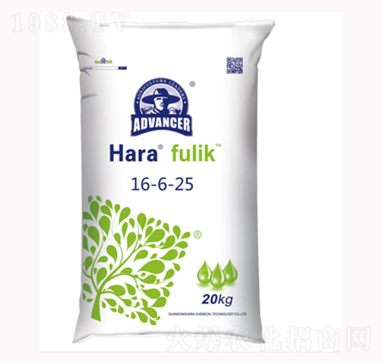 �����16-6-25-����