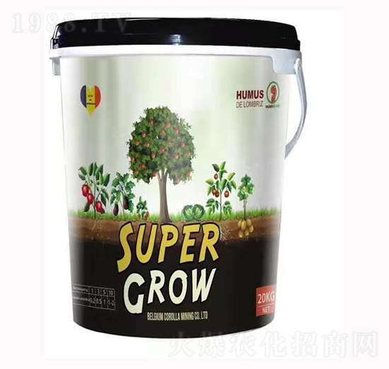 ���_�������Ͱ��-����