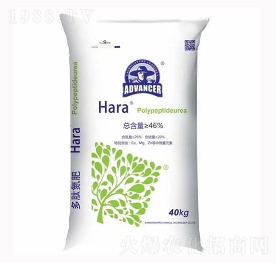 ���ĵ�-����