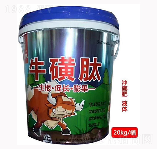 ������-����