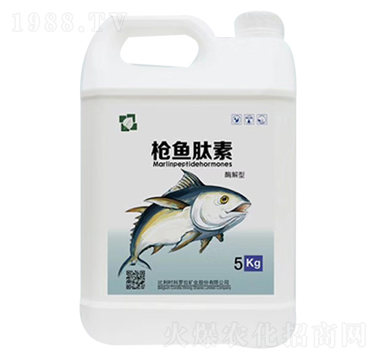 ���_�����~����-����