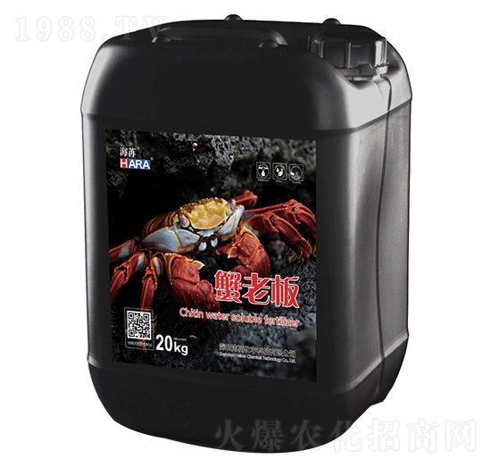 з�ϰ�-����