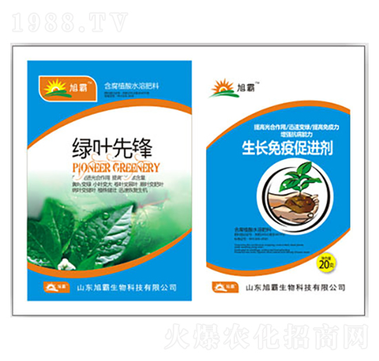 �G�~���h-�������