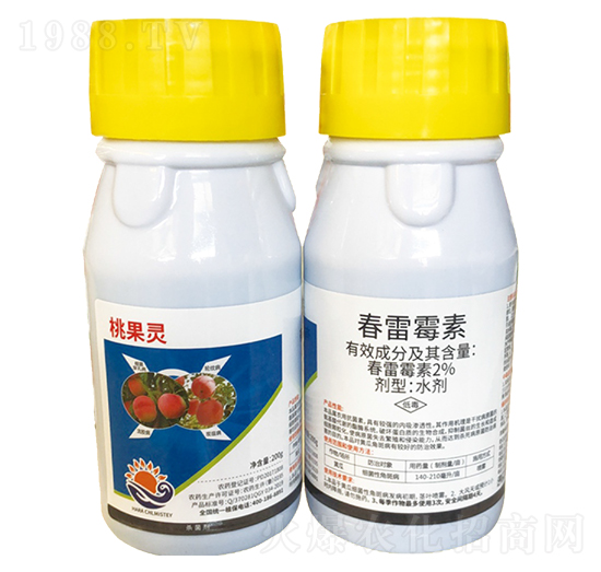 2%����ù��-�ҹ��`-��������