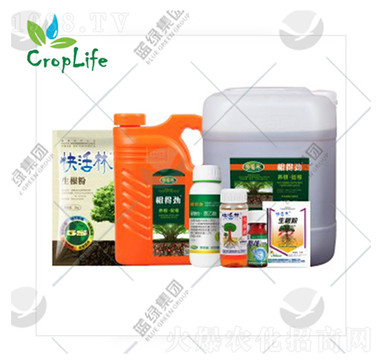 �ЙC(j��)��-��(��i)��˹����