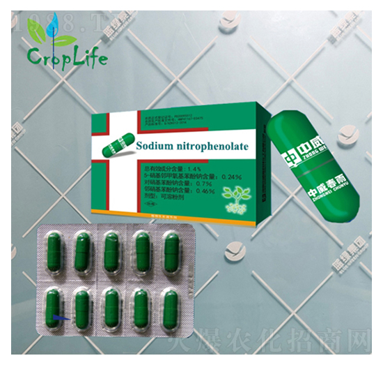 ����1̖(h��o)���z�ң�-����˹����