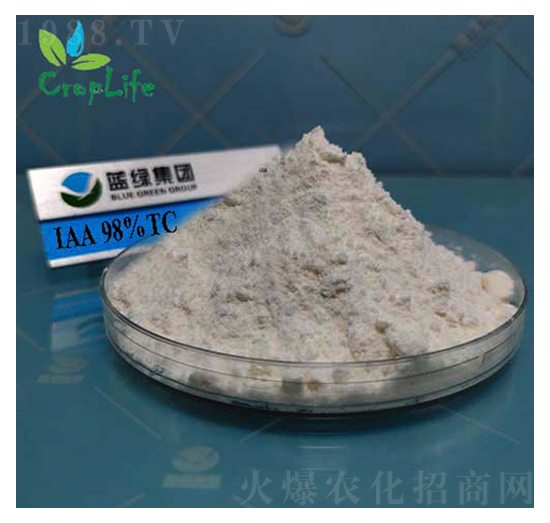 ��������-����˹����