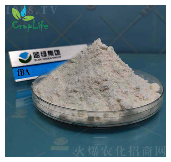 ���ᶡ��-��(��i)��˹����