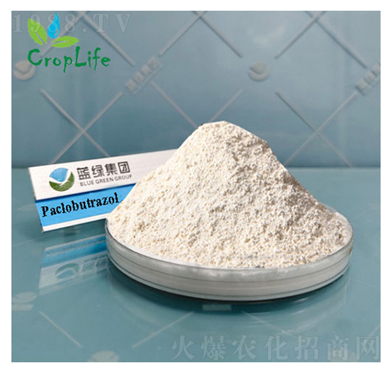 ��Ч��-����˹����